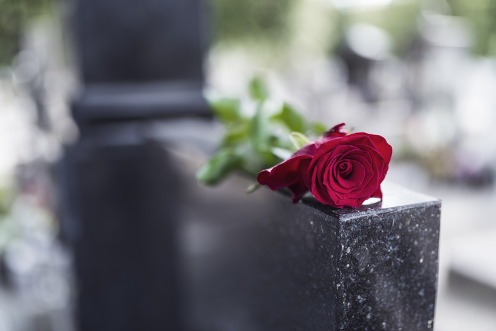 czerwona róża na pomniku